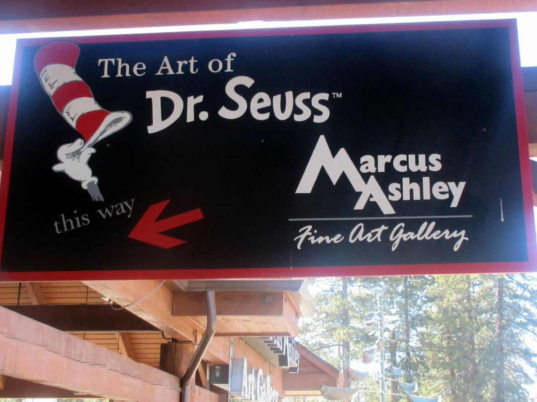 Marcus Ashley Fine Art Gallery-南太浩湖必去景点