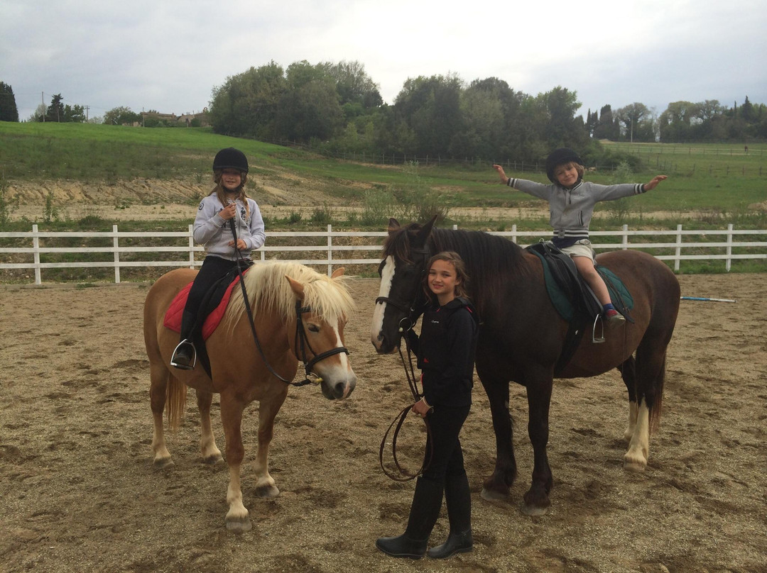 Borgo Pignano Horseback Riding景点图片