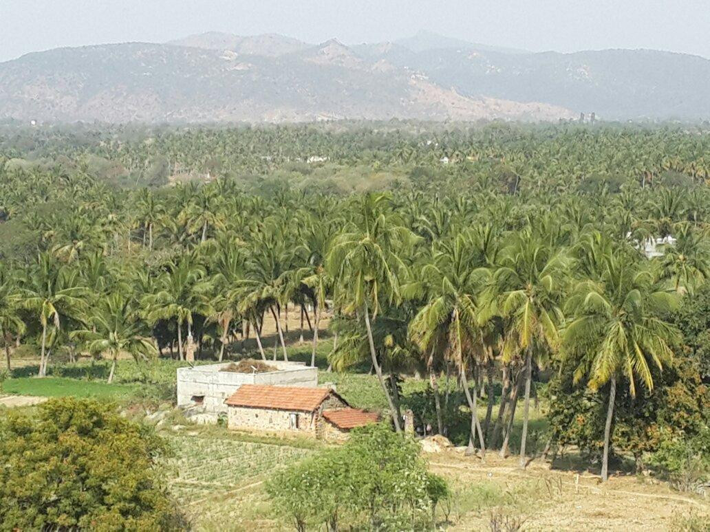 Kelavarapalli Reservoir Project-克里斯赫纳吉里必去景点