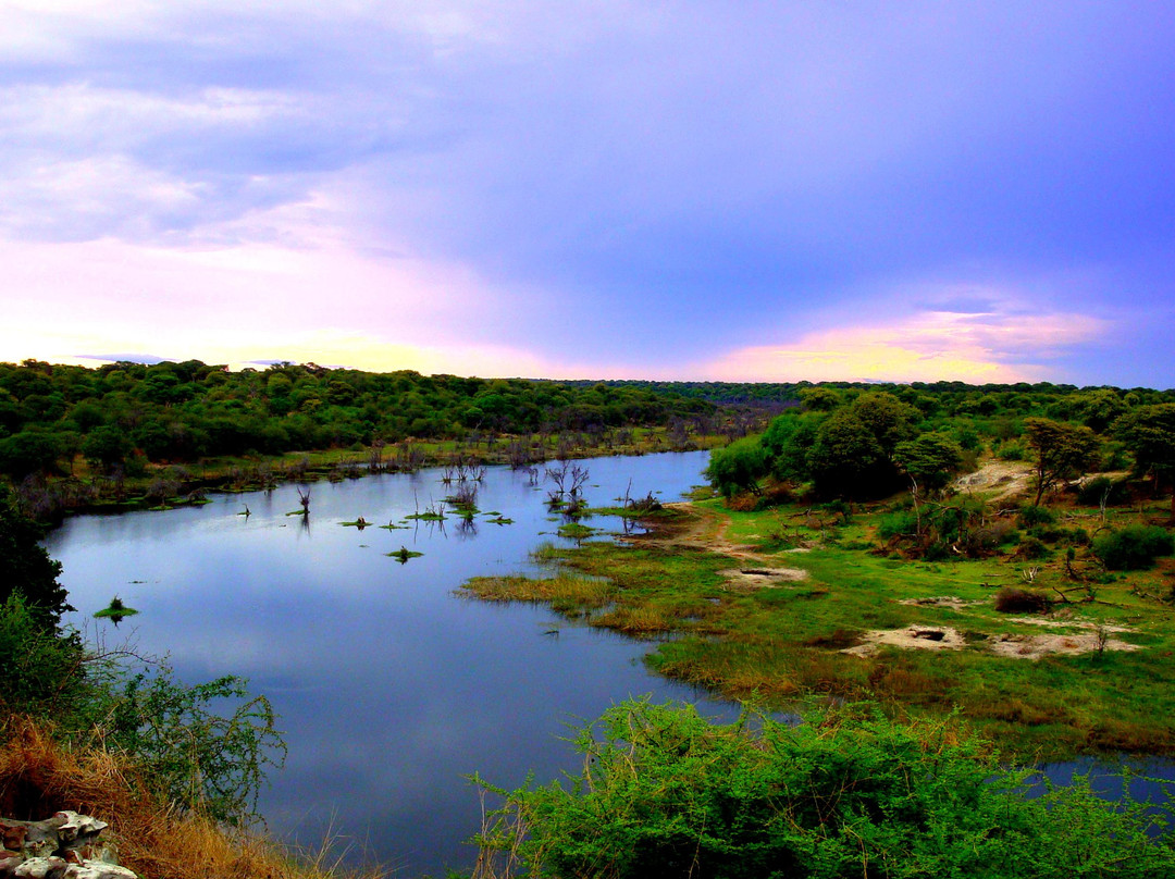 Okavango River景点图片