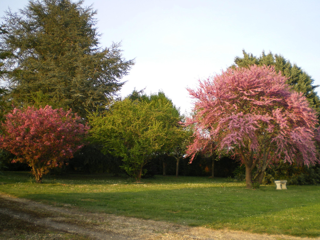La Maison de Framboise主图