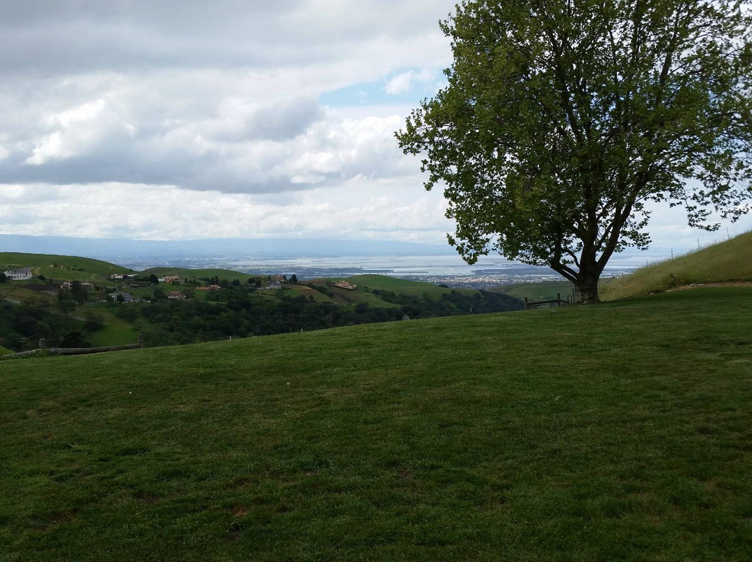 Big Dog Vineyards-米尔皮塔斯必去景点