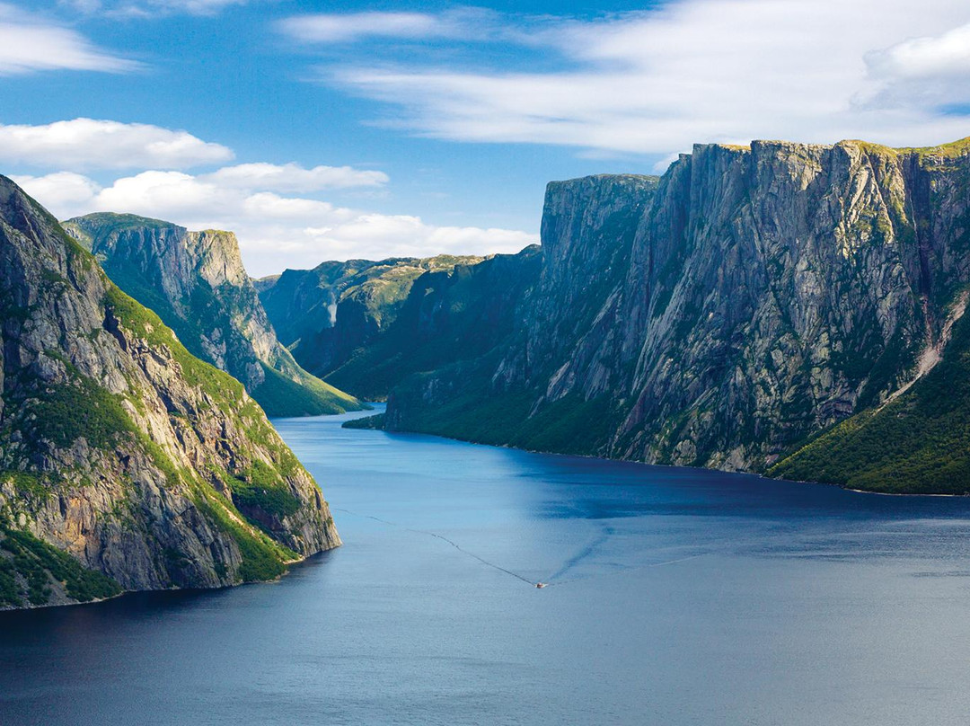 Newfoundland旅游攻略图片