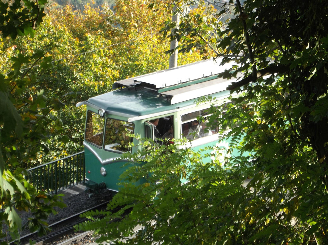 Drachenfelsbahn景点图片