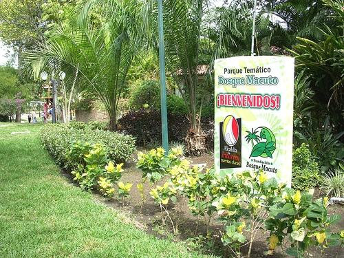 Parque Tematico Bosque Macuto景点图片