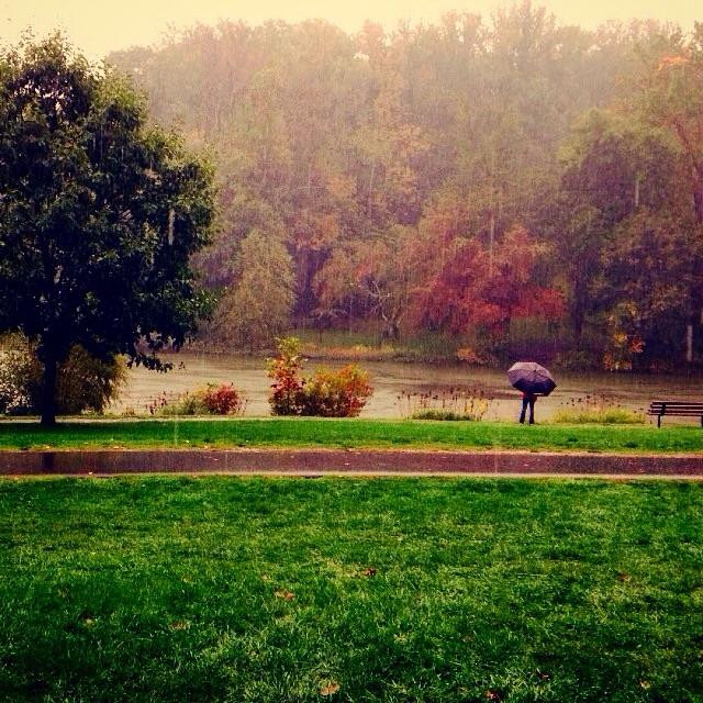 Holmdel Park景点图片