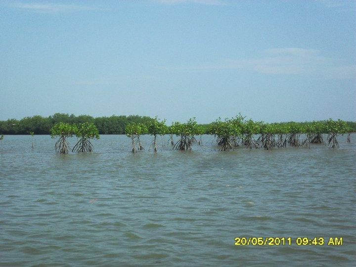 La Isla Hueso de Ballena-Tumbes必去景点