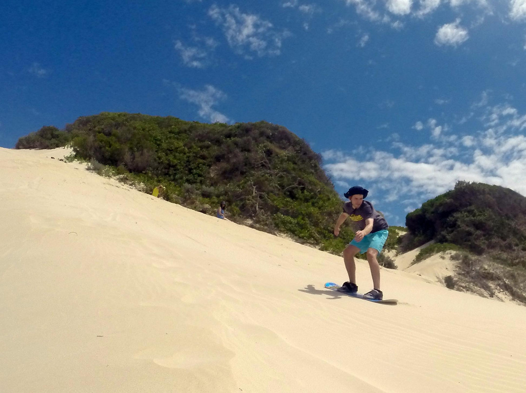 Surf-Jbay Surf School-杰佛瑞湾必去景点