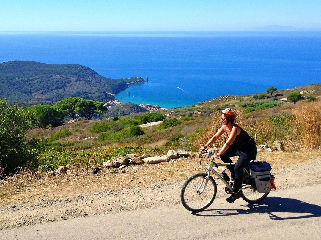 Yubike Tours-阿姆斯特丹必去景点
