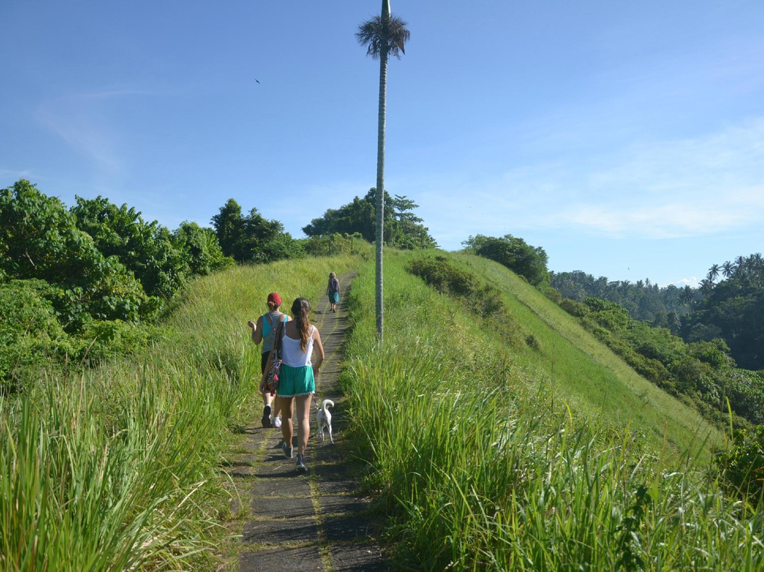 Laughing Buddha Bali Tours景点图片