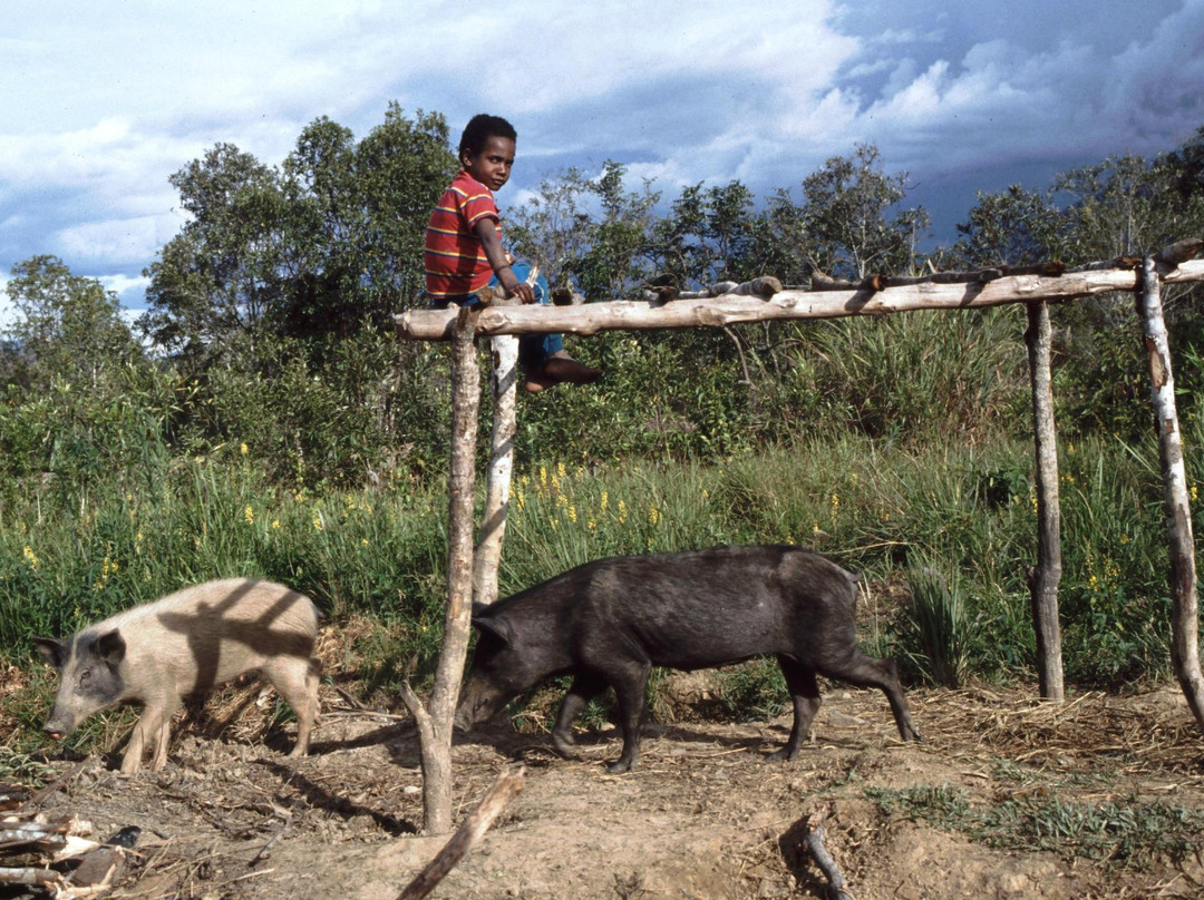 Pugima - Traditional Village-瓦梅纳必去景点