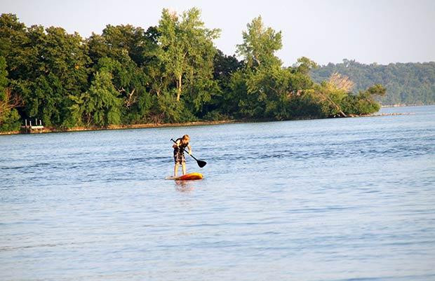 Bug-Bee Hive Resort主图