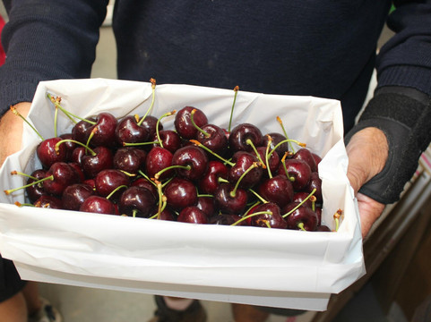 Cheeki樱桃园-克伦威尔镇必去景点