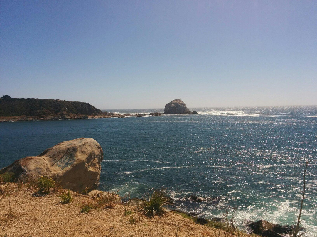 Playa Canelo-瓦尔帕莱索必去景点