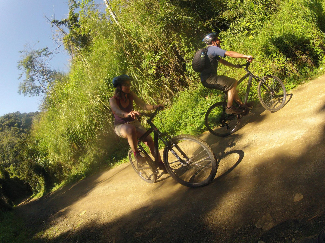 Paraty Bike景点图片