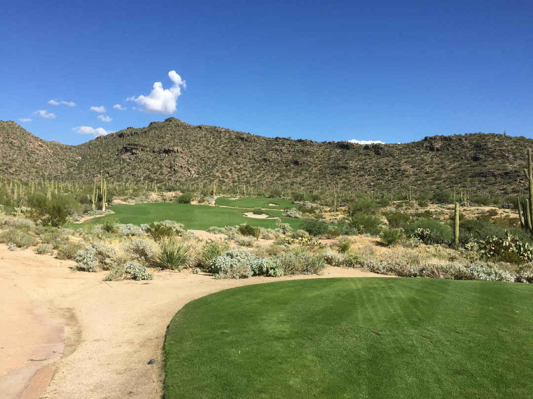 Ritz Carlton Golf Course Dove Mountain-马拉纳必去景点