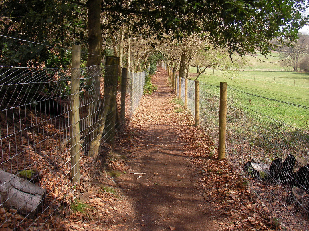 Farnham Town Walks-法纳姆必去景点