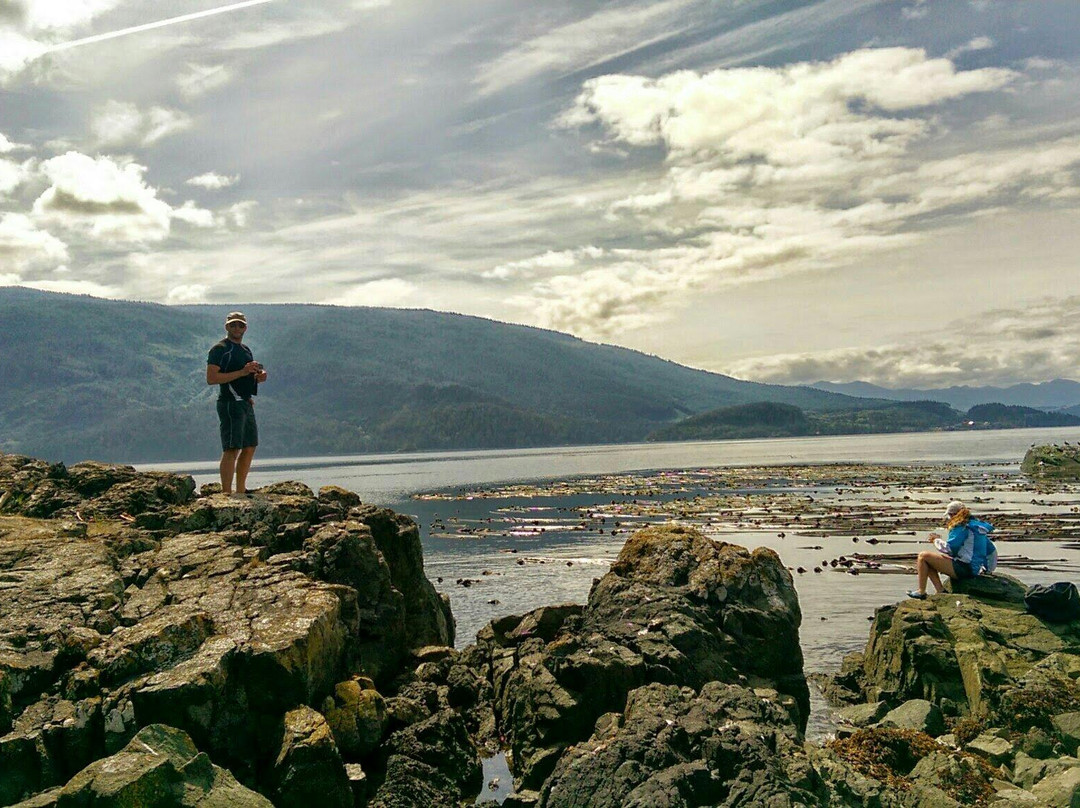 North Island Kayak景点图片