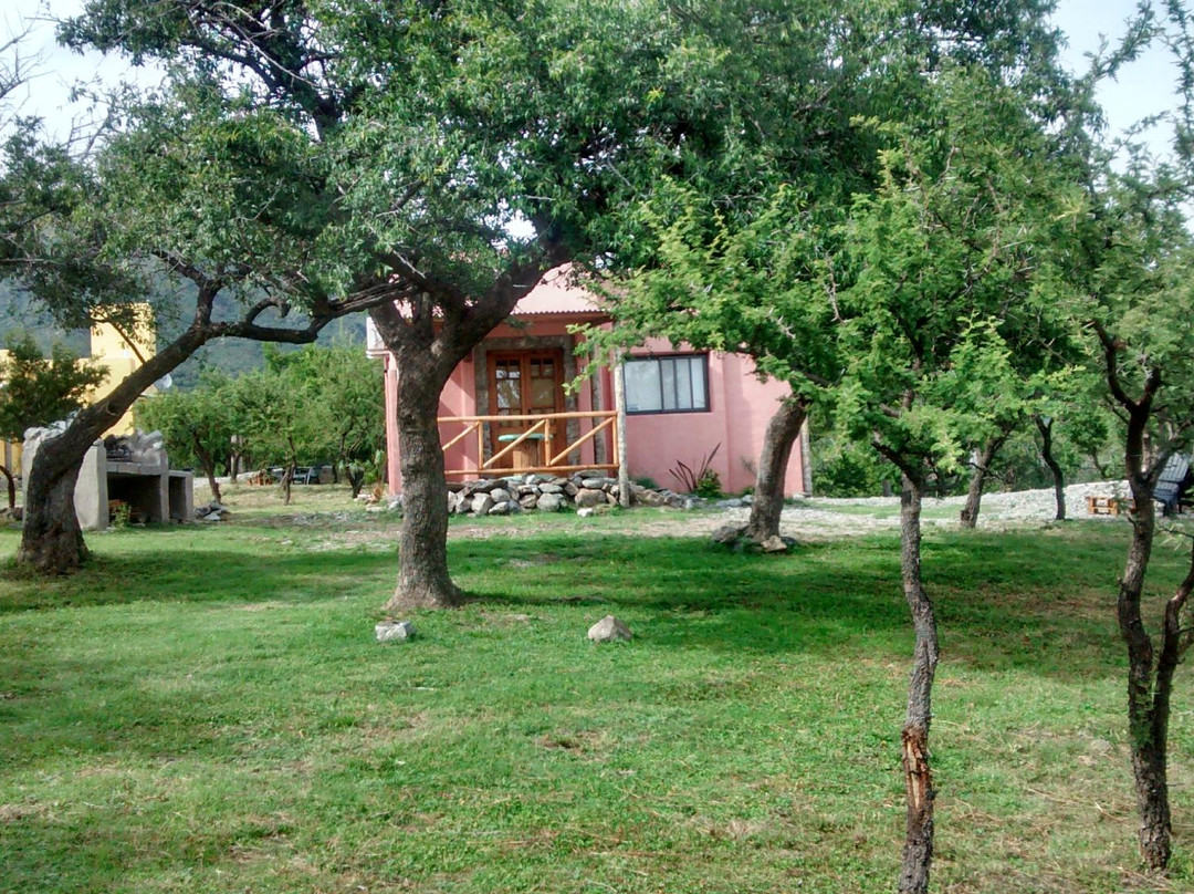 Cabañas Chacras del Arroyo Vidal