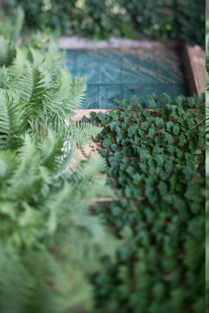 Il Tempo del Giardino-官方