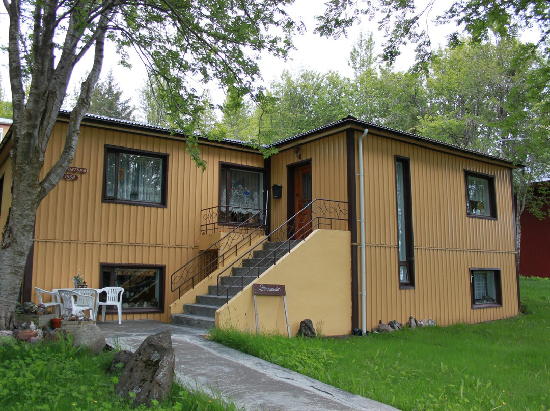 Rare stone collection of Soren and Sigurborg