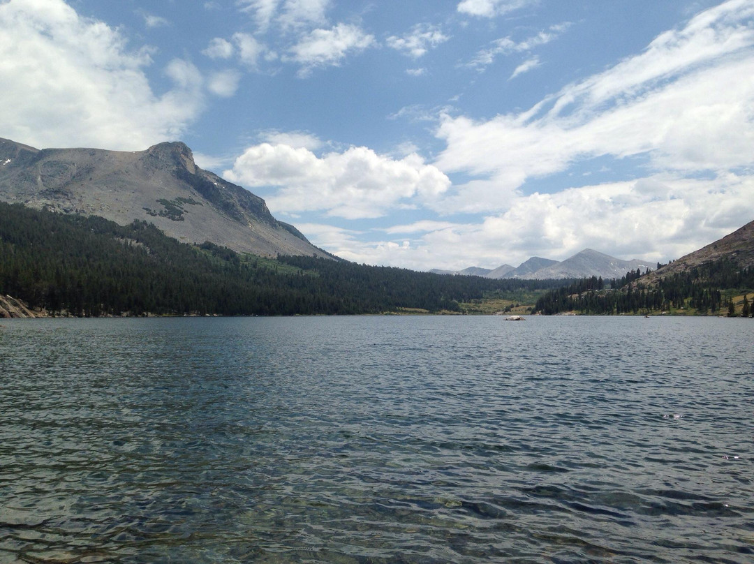 Inyo National Forest-加利福尼亚必去景点
