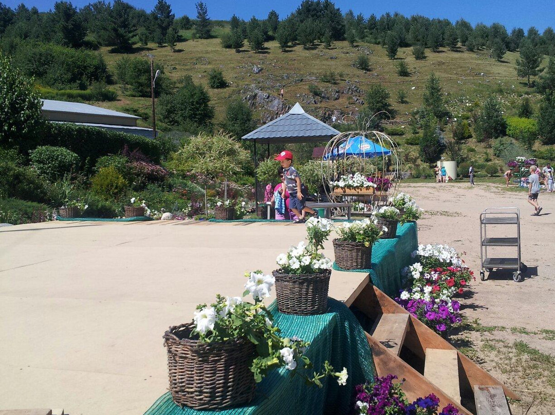 Blooming Valley Arboretum-Altaiskoye必去景点