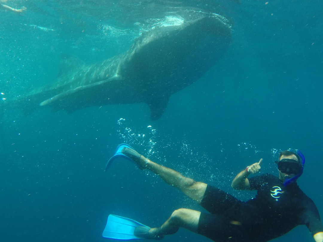 Explora Mexico Riviera Maya-普拉亚德尔卡曼必去景点