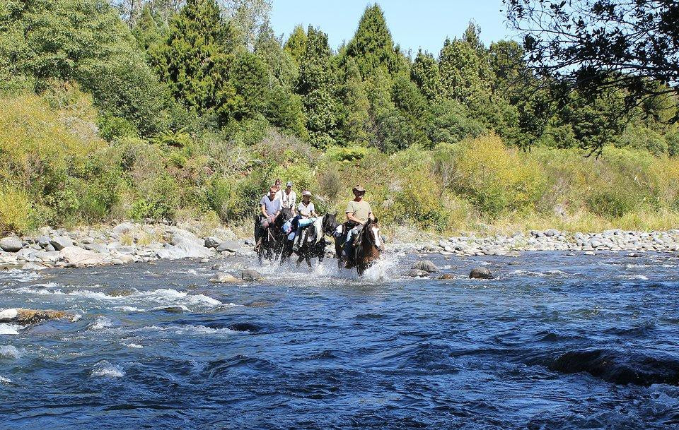 Horsemtrails景点图片