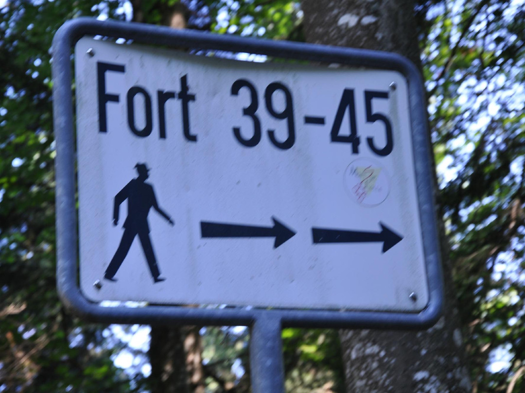 Fort de Pre-Giroud 39-45景点图片
