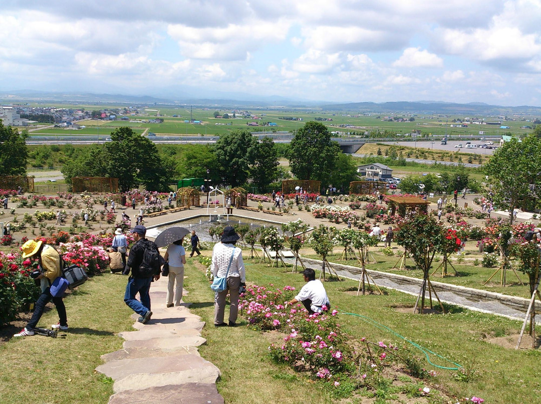 Rose Garden Chippbetsu-秩父别町必去景点