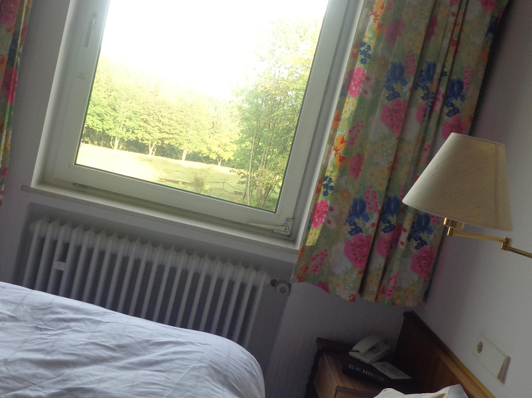 Hotel Gasthaus Troester主图