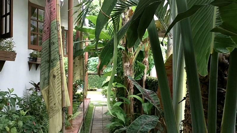 Dr. Tui's Bed and Breakfast主图