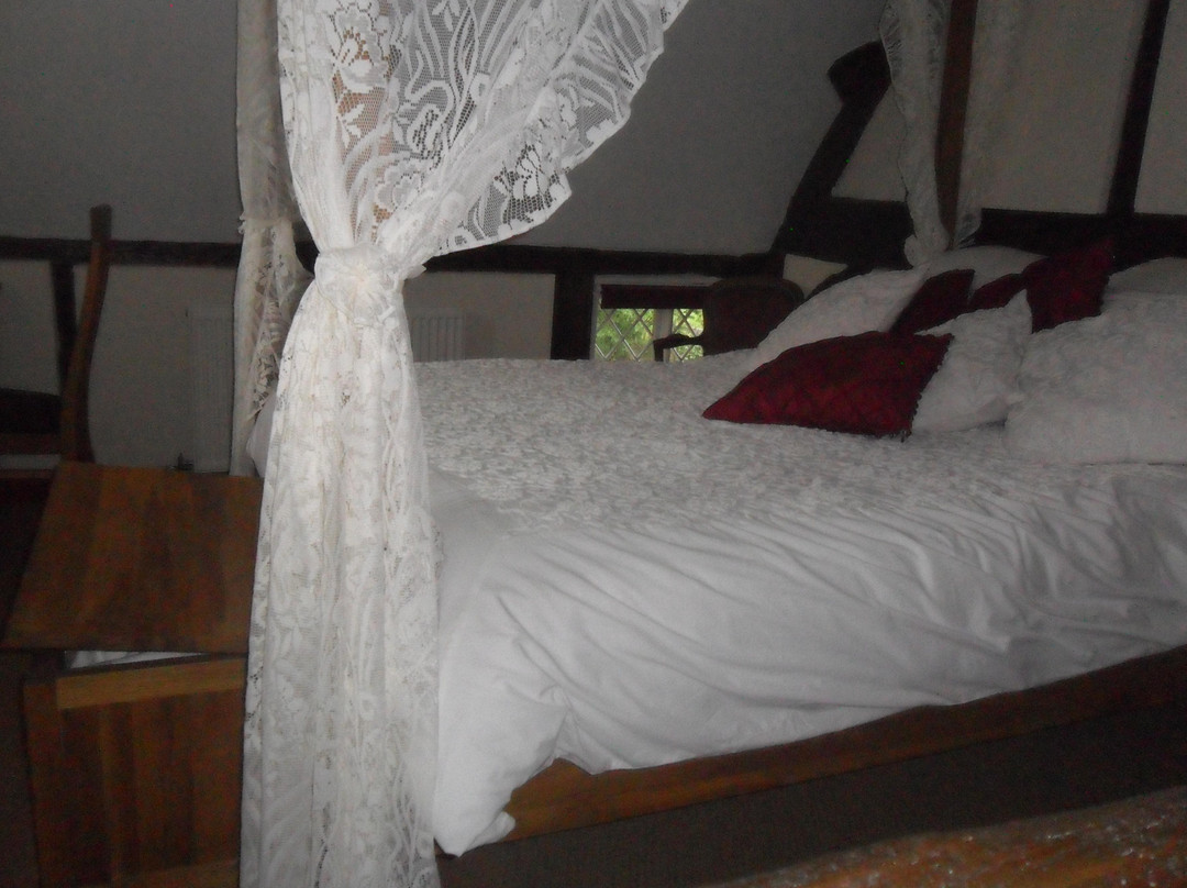 Moss Cottage B&B主图