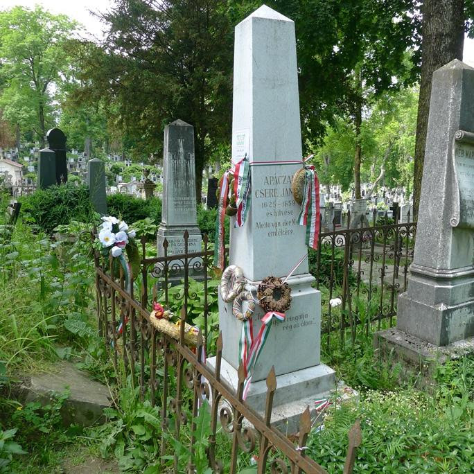 Cimitirul Central景点图片