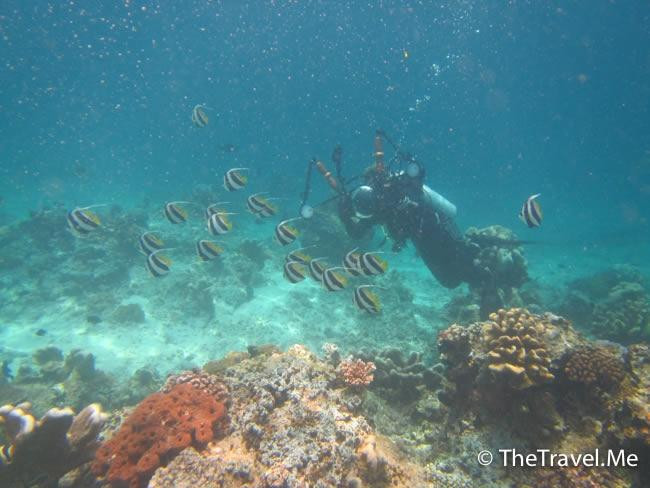 仙本那国家公园-仙本那必去景点