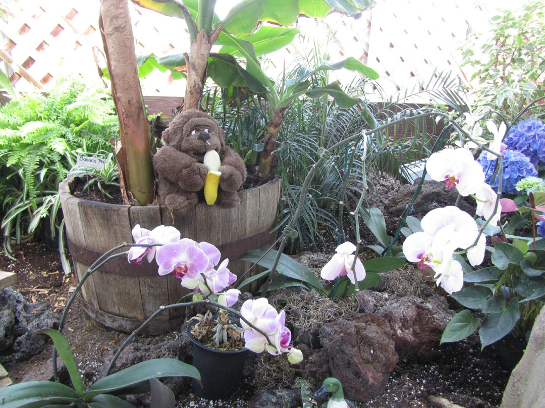 Regina Floral Conservatory-里贾纳必去景点