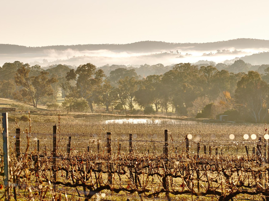 Chrismont Cellar Door, Restaurant and Larder景点图片