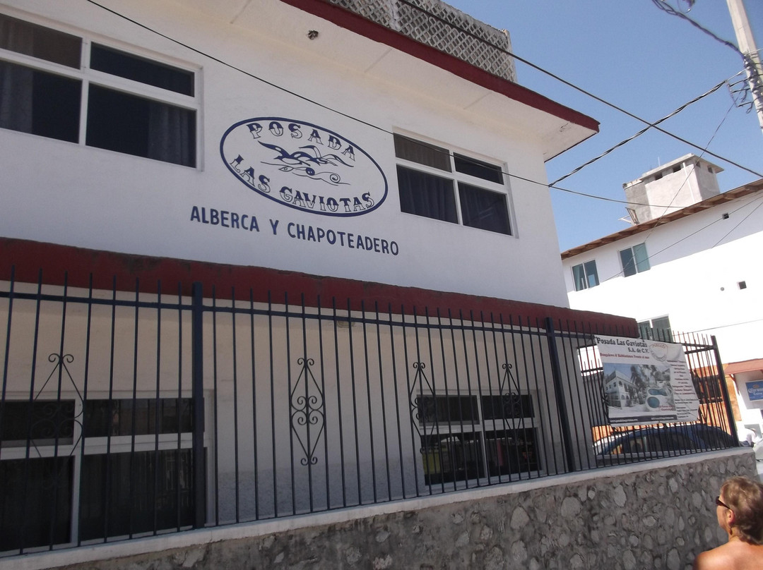 Melaque酒店住宿-Posada las Gaviotas