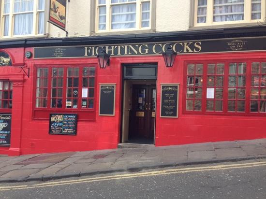 Fighting Cocks