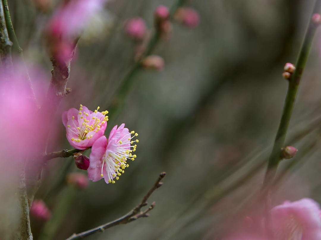 嘉道理农场暨植物园-香港必去景点