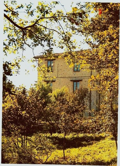 Bed And Breakfast Il Cammino-官方