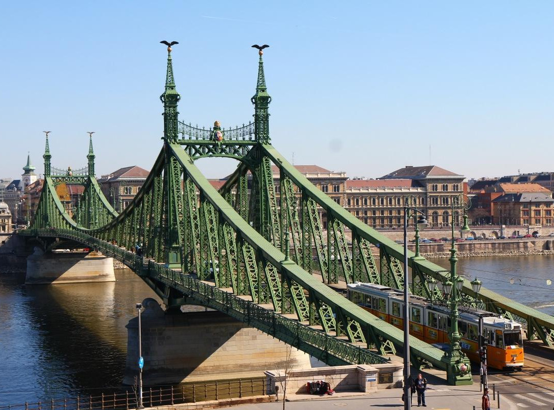 Liberty Bridge (Szabadsag hid)景点图片