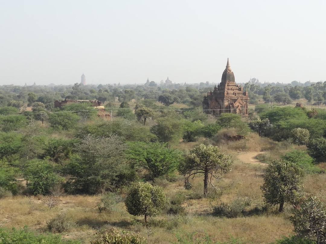 Shwe-gyu-gyi-蒲甘必去景点