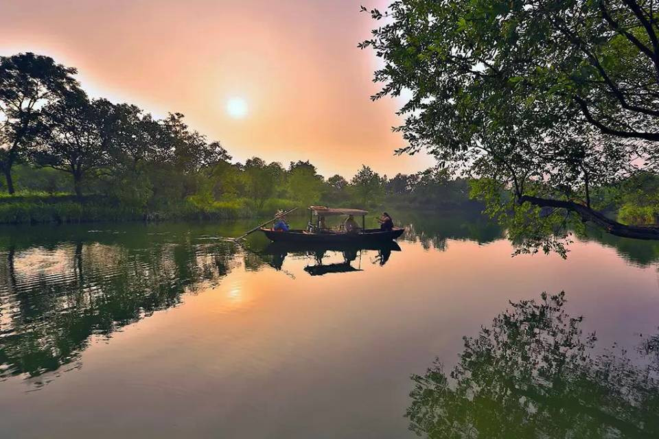 西溪湿地公园景点图片