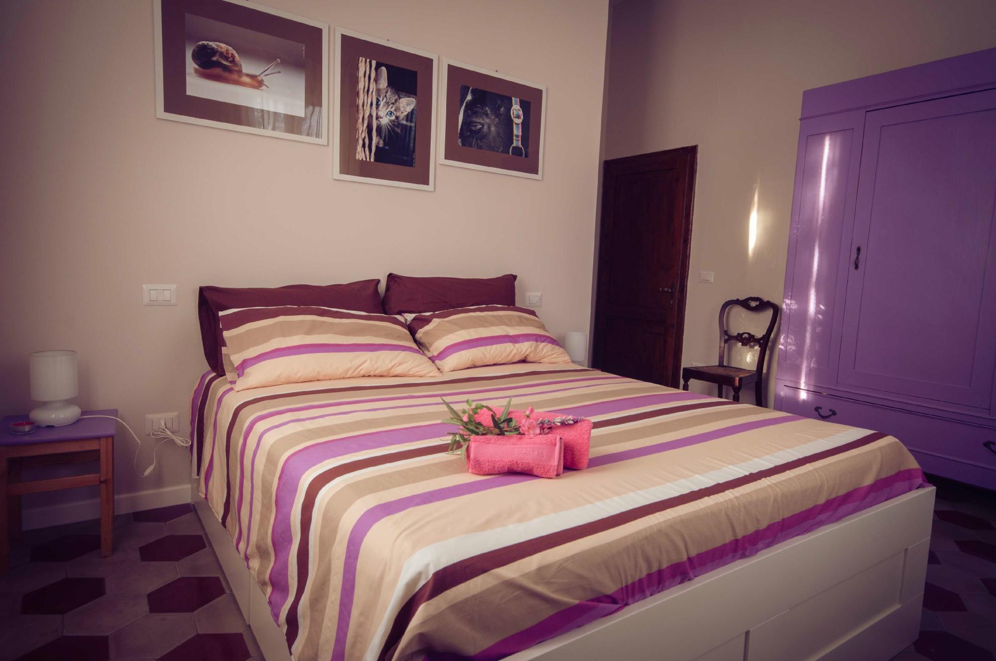 B&B Regina-官方