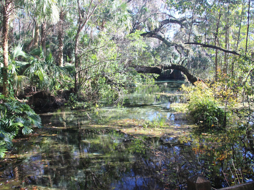 Rainbow Springs State Park-Dunnellon必去景点