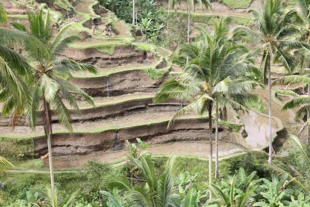 Private Bali Driver - Bali Tour-努沙杜瓦必去景点