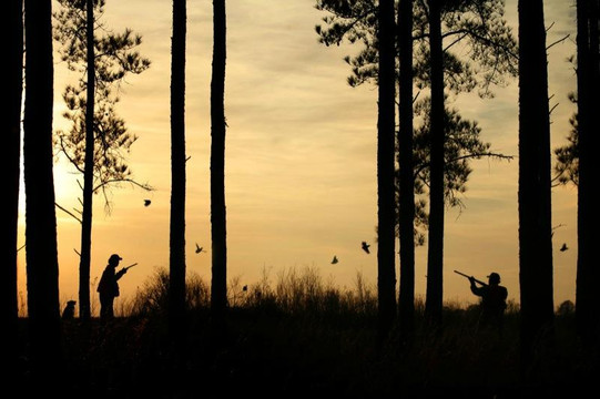 Quail Country Plantation-Arlington必去景点