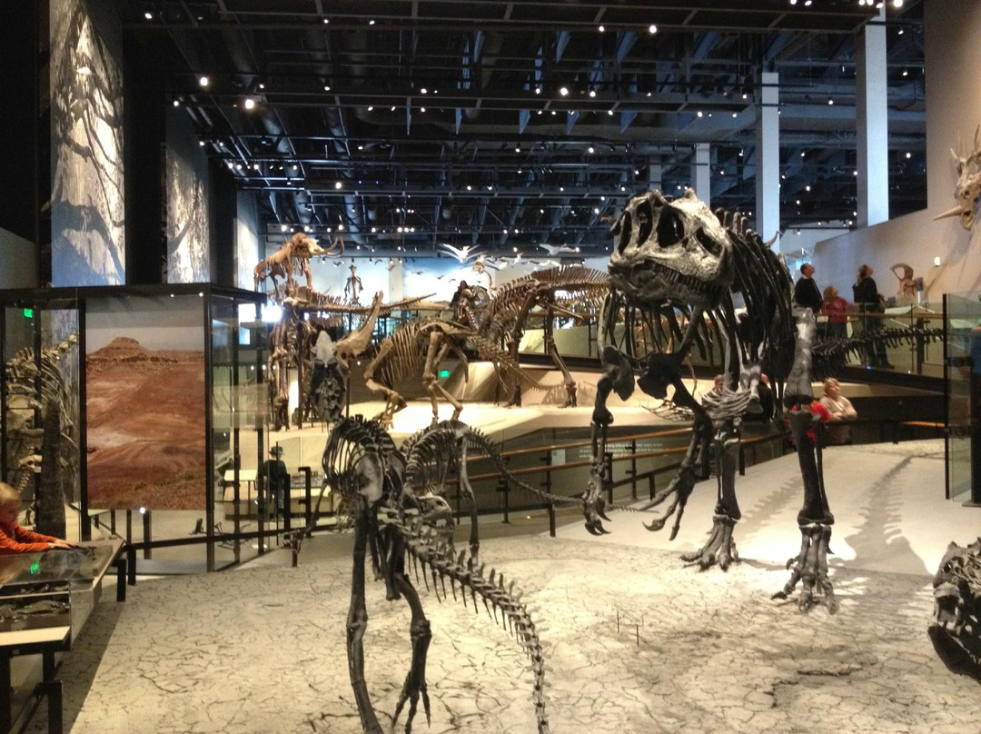 犹他州自然历史博物馆-盐湖城必去景点